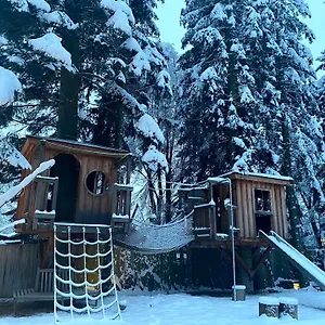 navštívit hotel